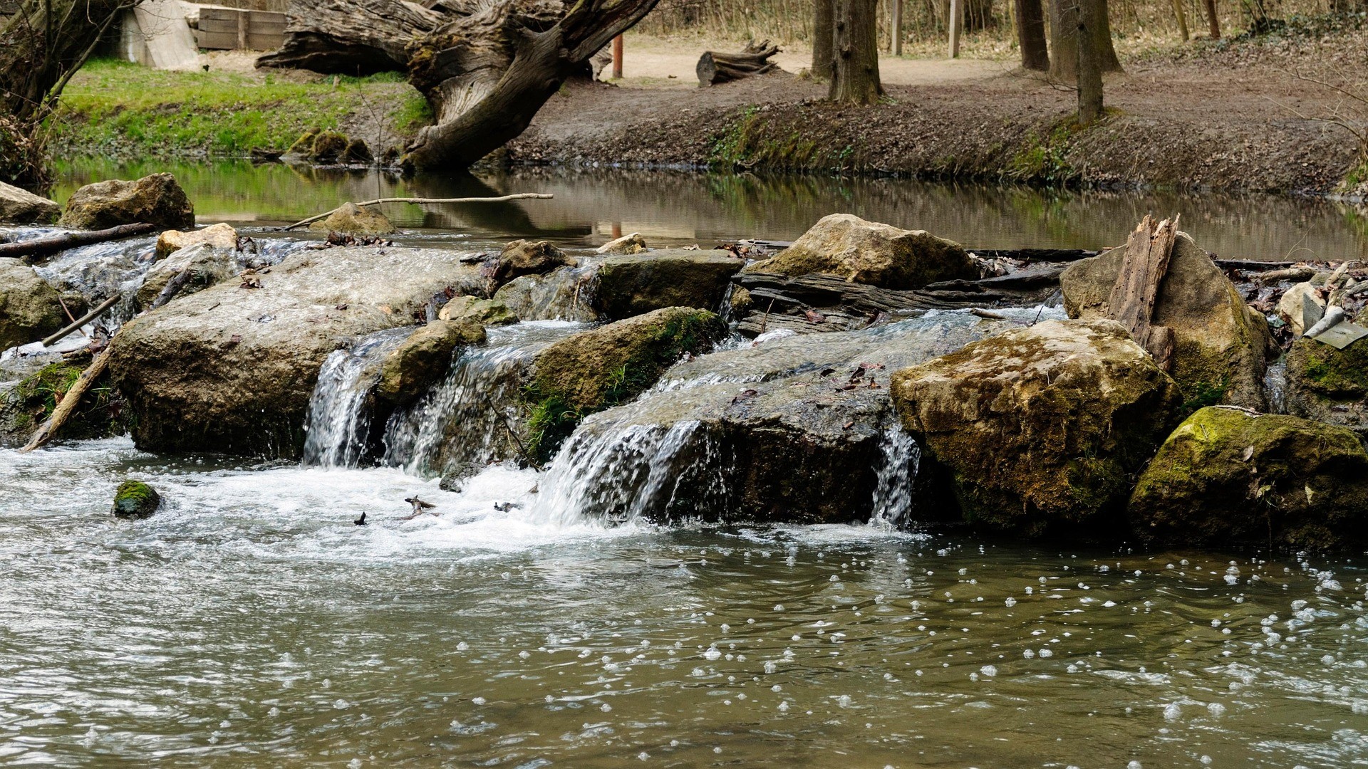 A kő marad (Fiktív párbeszéd a Békemenet kapcsán)
