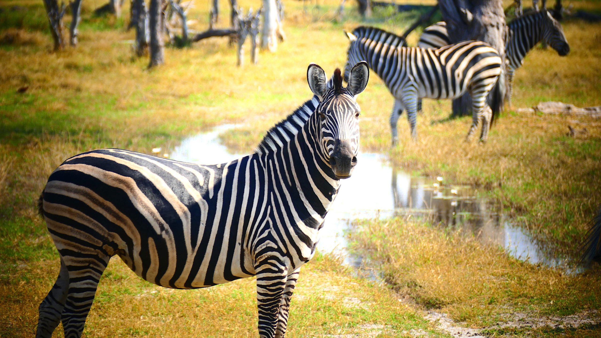 Ketten beszélnek – az igazság, bár senki nem birtokolja teljesen, létezik