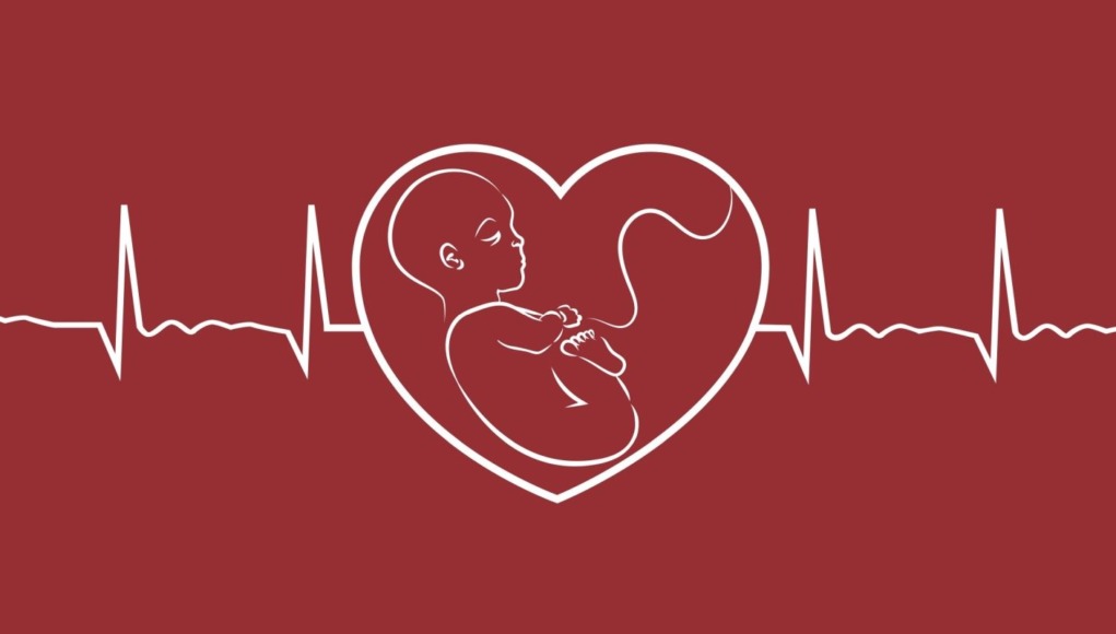 abortusz szívhang életvédelem magzat születés
